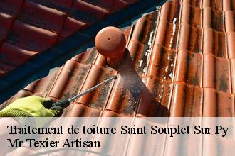 Traitement de toiture  saint-souplet-sur-py-51600 Dufresne David Peinture