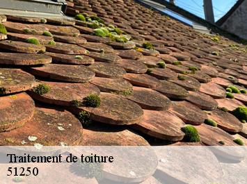 Traitement de toiture 51250