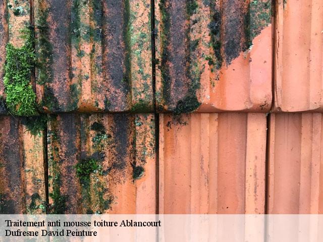 Traitement anti mousse toiture  ablancourt-51240 Dufresne David Peinture