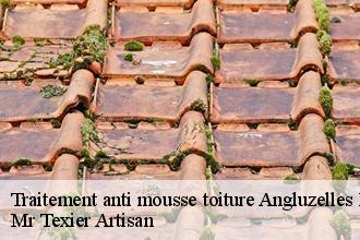 Traitement anti mousse toiture angluzelles-et-courcelles-51230 Mr Texier Artisan