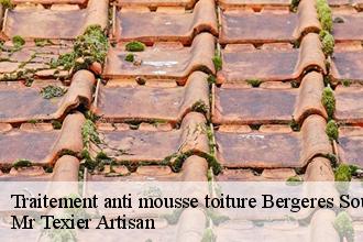 Traitement anti mousse toiture bergeres-sous-montmirail-51210 Mr Texier Artisan
