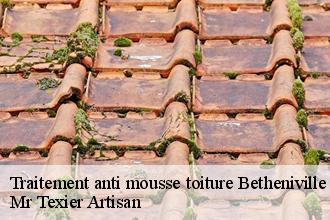 Traitement anti mousse toiture betheniville-51490 Dufresne David Peinture