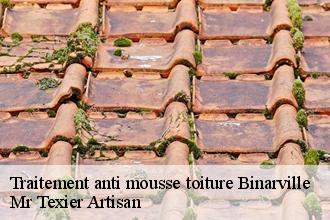 Traitement anti mousse toiture binarville-51800 Mr Texier Artisan