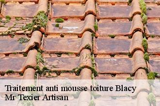 Traitement anti mousse toiture blacy-51300 Mr Texier Artisan