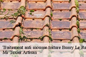 Traitement anti mousse toiture bussy-le-repos-51330 Dufresne David Peinture