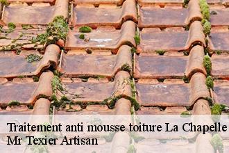 Traitement anti mousse toiture la-chapelle-lasson-51260 Dufresne David Peinture