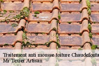 Traitement anti mousse toiture chaudefontaine-51800 Dufresne David Peinture