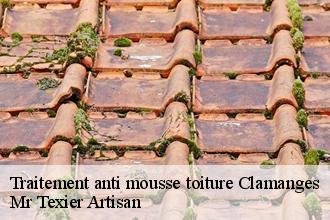 Traitement anti mousse toiture clamanges-51130 Dufresne David Peinture