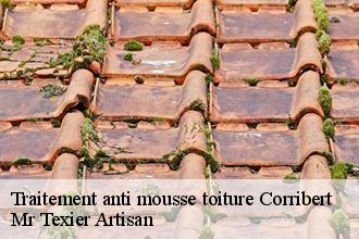 Traitement anti mousse toiture corribert-51270 Mr Texier Artisan
