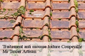 Traitement anti mousse toiture coupeville-51240 Dufresne David Peinture