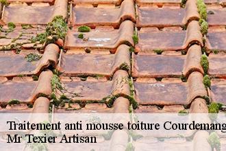 Traitement anti mousse toiture courdemanges-51300 Dufresne David Peinture