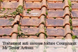 Traitement anti mousse toiture courgivaux-51310 Dufresne David Peinture