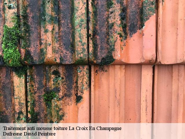 Traitement anti mousse toiture  la-croix-en-champagne-51600 Dufresne David Peinture