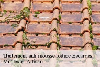 Traitement anti mousse toiture escardes-51310 Mr Texier Artisan
