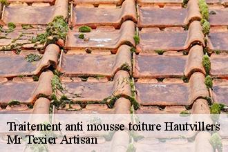 Traitement anti mousse toiture hautvillers-51160 Dufresne David Peinture