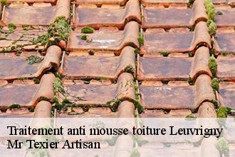 Traitement anti mousse toiture leuvrigny-51700 Dufresne David Peinture