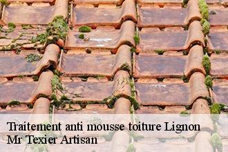 Traitement anti mousse toiture lignon-51290 Dufresne David Peinture