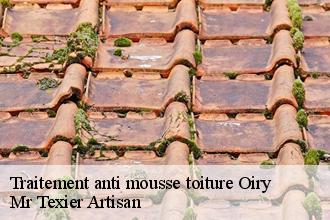 Traitement anti mousse toiture oiry-51200 Dufresne David Peinture