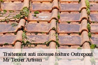 Traitement anti mousse toiture outrepont-51300 Dufresne David Peinture