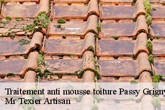 Traitement anti mousse toiture passy-grigny-51700 Dufresne David Peinture