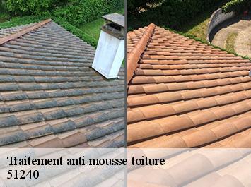 Traitement anti mousse toiture 51240