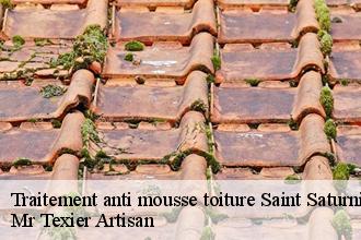 Traitement anti mousse toiture  saint-saturnin-51260 Dufresne David Peinture