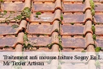 Traitement anti mousse toiture sogny-en-l-angle-51340 Dufresne David Peinture
