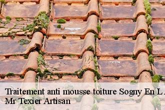 Traitement anti mousse toiture  sogny-en-l-angle-51340 Dufresne David Peinture