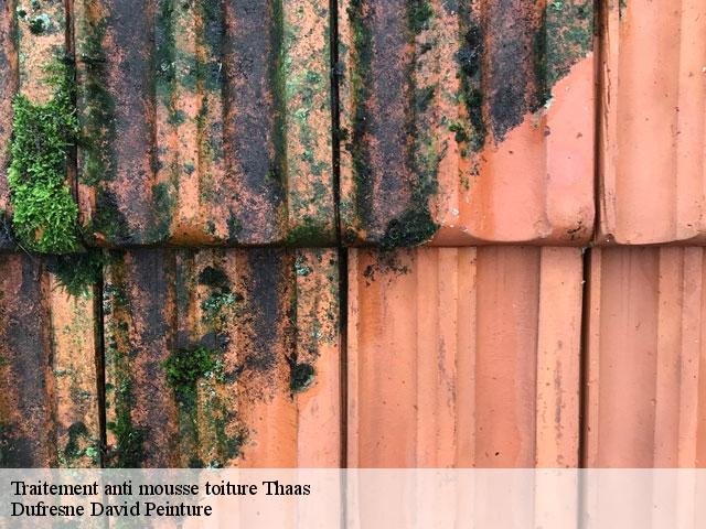 Traitement anti mousse toiture  thaas-51230 Dufresne David Peinture