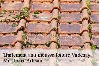 Traitement anti mousse toiture  vadenay-51400 Dufresne David Peinture