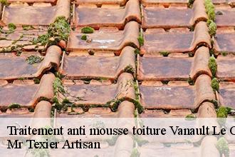 Traitement anti mousse toiture vanault-le-chatel-51330 Charles Elie Peinture