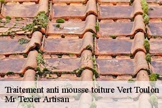 Traitement anti mousse toiture vert-toulon-51130 Dufresne David Peinture