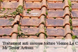 Traitement anti mousse toiture vienne-le-chateau-51800 Dufresne David Peinture