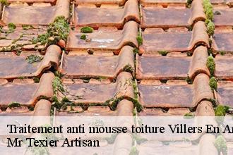 Traitement anti mousse toiture  villers-en-argonne-51800 Dufresne David Peinture