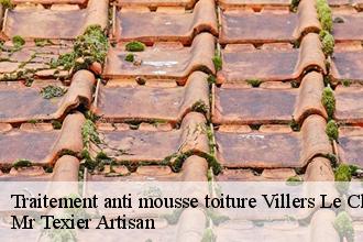 Traitement anti mousse toiture  villers-le-chateau-51510 Dufresne David Peinture