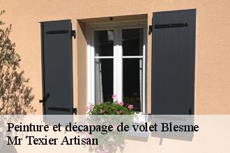 Peinture et décapage de volet blesme-51340 Dufresne David Peinture