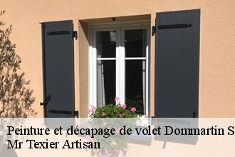 Peinture et décapage de volet dommartin-sous-hans-51800 Dufresne David Peinture